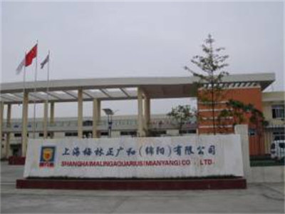 上海梅(mei)林正廣(guǎng)和（綿陽(yáng)）有限公(gōng)司