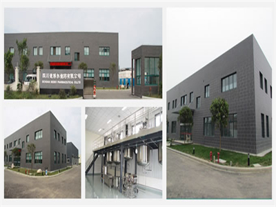 四(si)川德博(bó)爾制藥(yào)有限公(gong)司